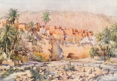 In the heart of an Oasis by Frances Nesbitt