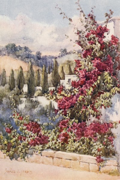 On my Balcony, Algiers by Frances Nesbitt