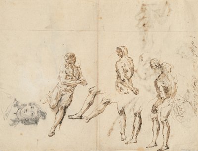 Head of a Woman and Studies of a Male Nude by Francesco Fontebasso