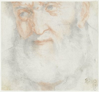 Head of an Old Man with a Beard by Francesco Furini (attributed to)