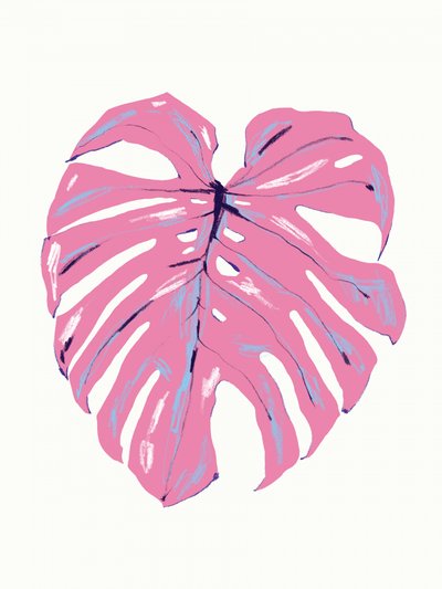 Tropical Pink Monstera by Francesco Gulina
