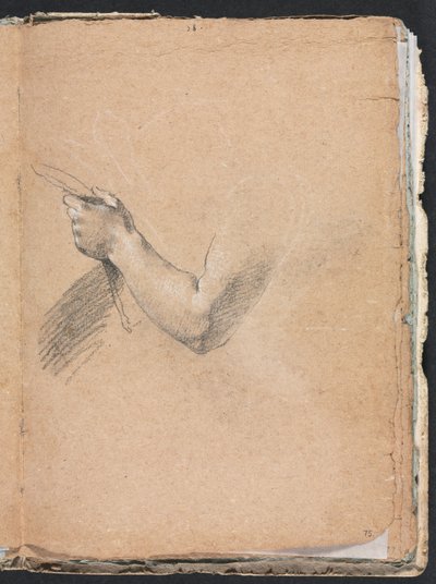 Verona Sketchbook: Left arm and hand (page 75) by Francesco Lorenzi