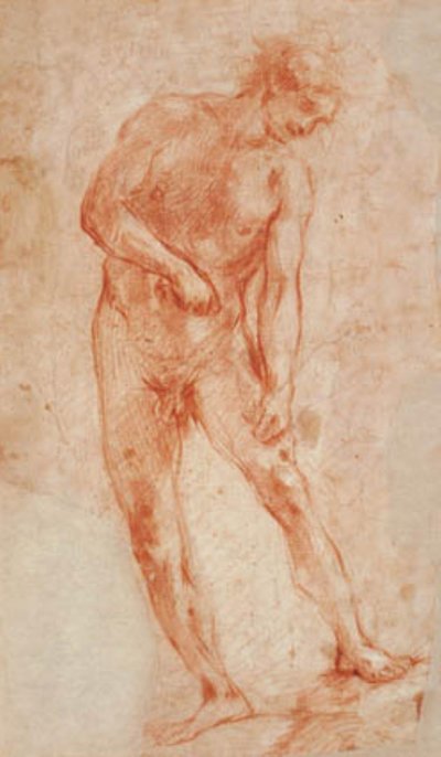 Study for a Male Nude, Bending Towards the Right by Francesco Montelatici
