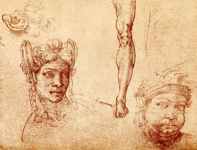 Head and Leg Studies by Francesco Ubertini Bacchiacca
