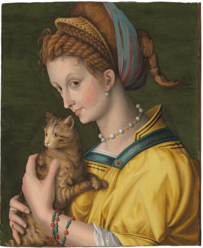 Portrait of a Young Lady Holding a Cat by Francesco Ubertini Verdi Bachiacca