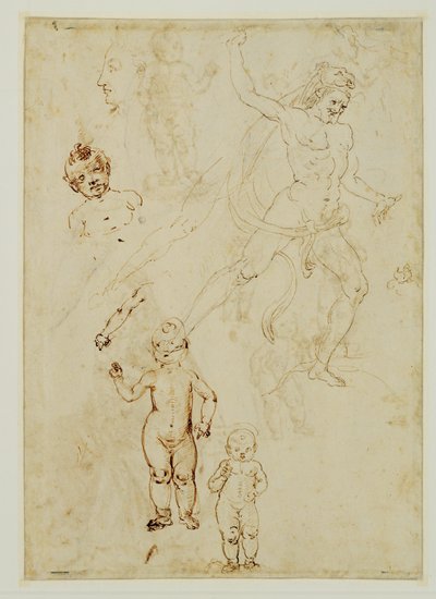 Hercules; Three Children; Male Head Turned to the Left by Francesco di Simone (attr. to)