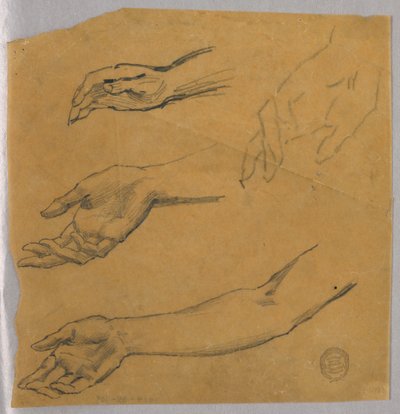 Three Studies of a Hand and Arm by Francis Augustus Lathrop