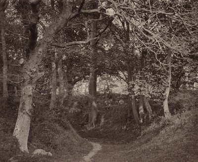 Glen Kenilworth, c. 1868 by Francis Bedford