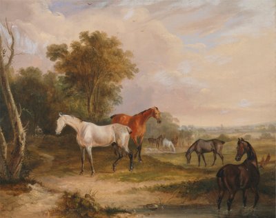 Horses Grazing: A Grey Stallion Grazing with Mares in a Meadow by Francis Calcraft Turner
