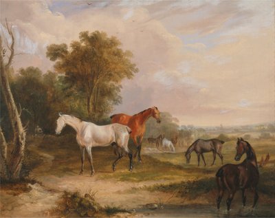 Horses Grazing: A Grey Stallion Grazing with Mares in a Meadow by Francis Calcraft Turner