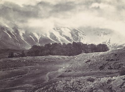 Distant View of the Cedars of Lebanon, ca. 1857 by Francis Frith