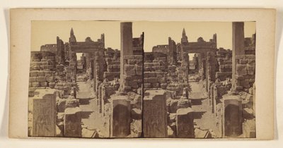 Ruins with carved figures on walls in foreground by Francis Frith