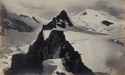 View from Mont Blanc by Francis Frith