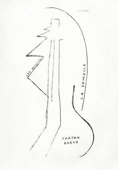 Poems and Drawings of the Girl Born Without a Mother, no.23, published by Imprimeries Reunies, Lausanne by Francis Picabia