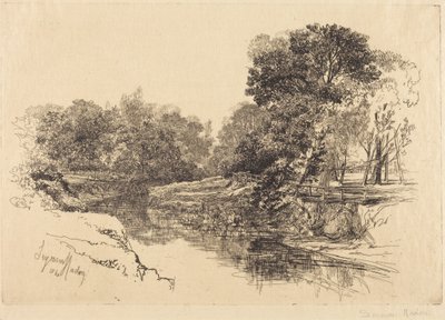 A River in Ireland by Francis Seymour Haden