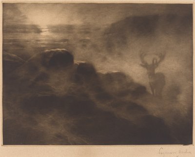 An Early Riser by Francis Seymour Haden