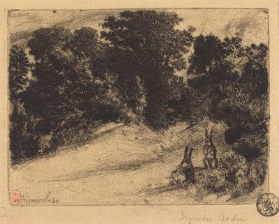 Combe Bottom by Francis Seymour Haden