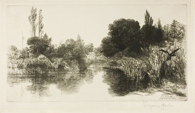 Shere Mill Pond, No. II by Francis Seymour Haden