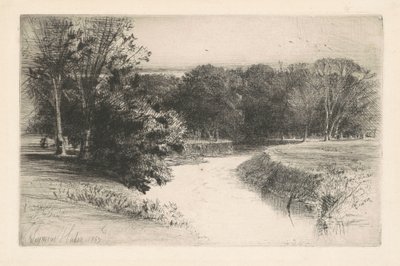 Sunset in Ireland by Francis Seymour Haden
