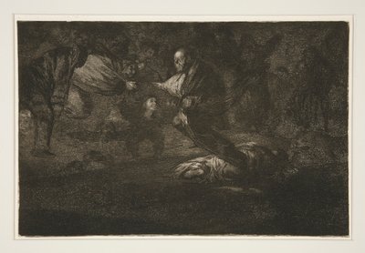 God Creates Them and They Join Up Together, pl. 18 from the series Los proverbios by Francisco de Goya