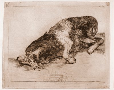 The Disasters of War: Proud Monster! by Francisco de Goya