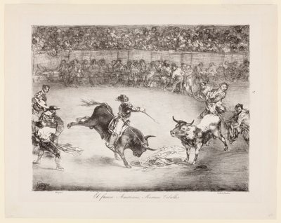 The Famous American, Mariano Ceballos, The Bulls of Bordeaux by Francisco de Goya