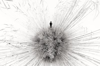Lone Figure Amidst Reeds by Francois Casanova