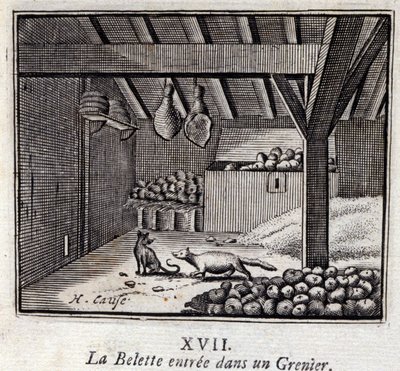 The Weasel Entered a Granary by Francois Chauveau