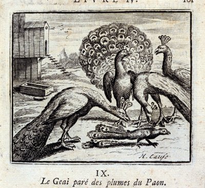 The Jay Adorns Peacock Feathers by Francois Chauveau