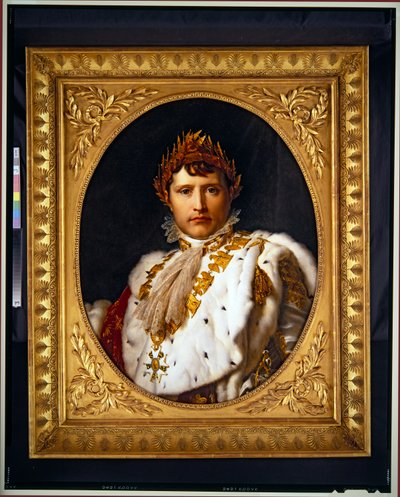 A Portrait of Napoleon, undated by Francois Pascal Simon Baron Gerard