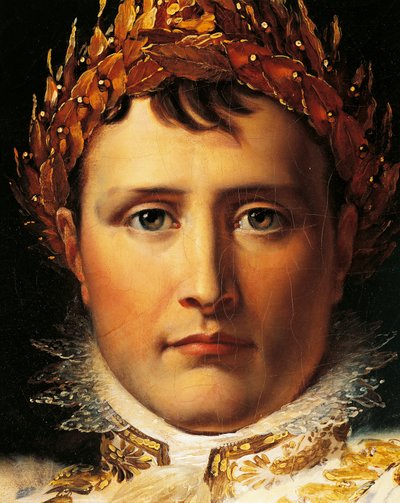 Napoleon Bonaparte in Emperor
