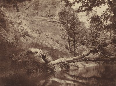 Riverbank, c. 1855 by Frank Chauvassaigne