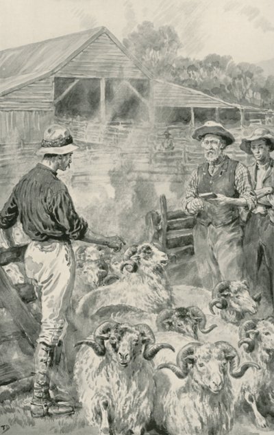 A Sheep Station on Canterbury Plains by Frank Dadd
