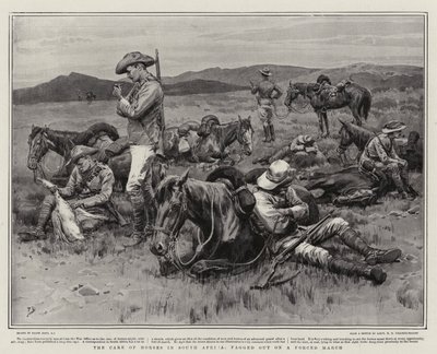The Care of Horses in South Africa, fagged out on a Forced March by Frank Dadd