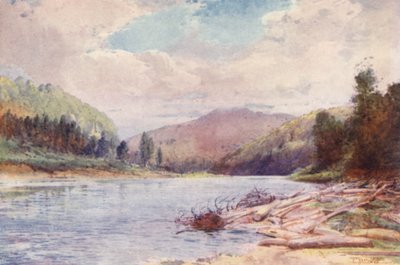 New Zealand: Below the Junction of the Buller and Inangahua Rivers by Frank H Wright