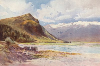 New Zealand: 