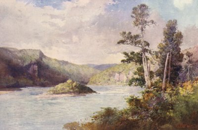 New Zealand: White Cliffs, Buller River by Frank H Wright
