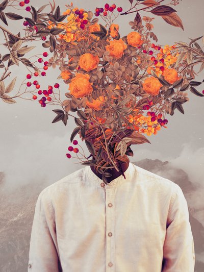 Bright Bloom by Frank Moth
