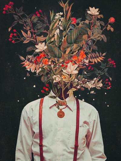 Foliage by Frank Moth