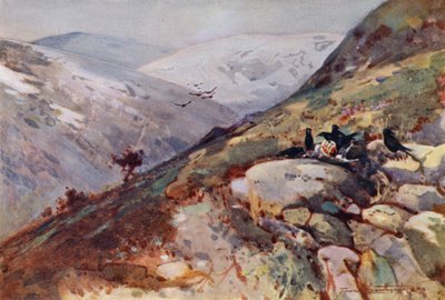 Near Kielder by Frank Southgate