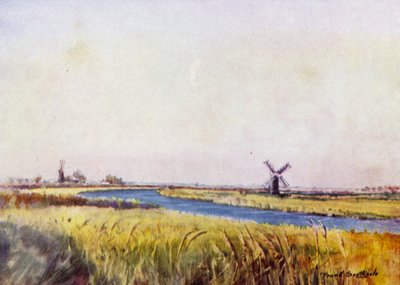 Norfolk Broads: Above St Olaves by Frank Southgate