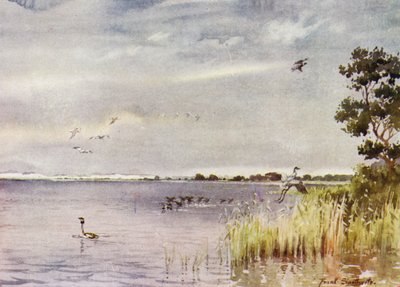 Norfolk Broads: Horsey Mere by Frank Southgate