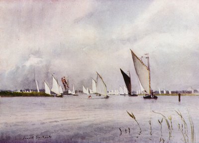Norfolk Broads: Regatta at Hickling by Frank Southgate