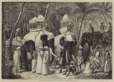 The Elephants of the Rajah of Travancore by Frank Vizetelly