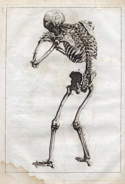 Engraving in 