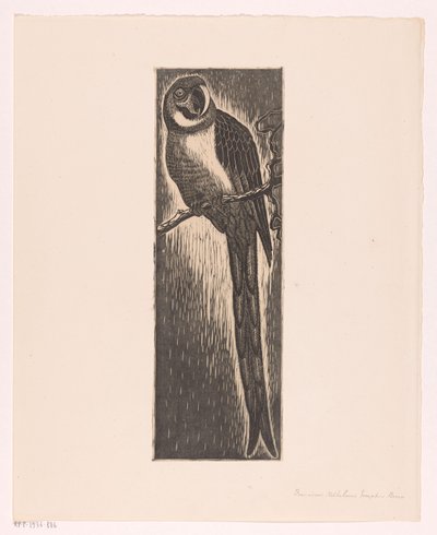 Parrot Sitting on a Branch by Frans Bosen