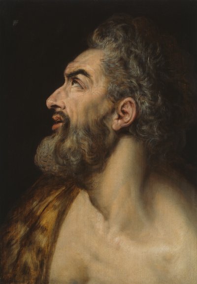 Study Head of a Bearded Man by Frans Floris I