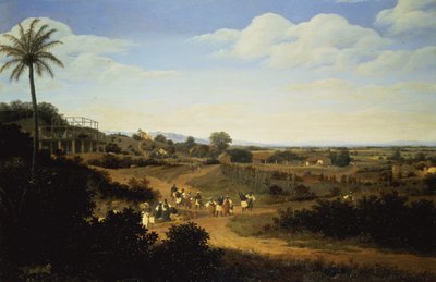 Panoramic View in Brazil by Frans Post