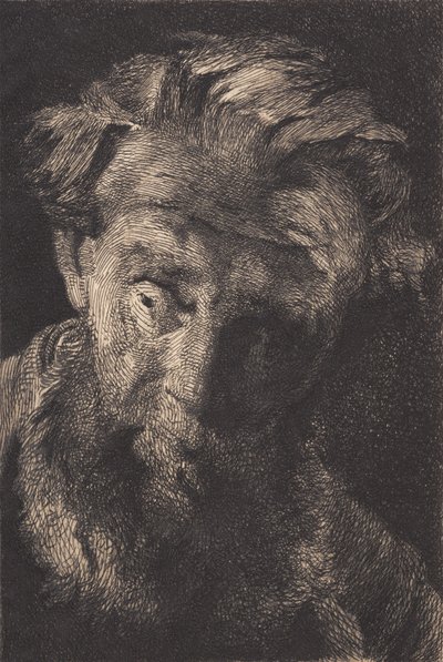 Old Bearded Man Looking to the Side by Frans Schwartz