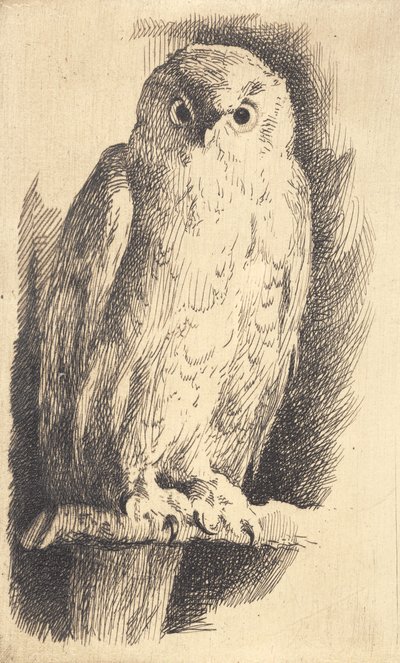Test Plate: An Owl by Frans Schwartz